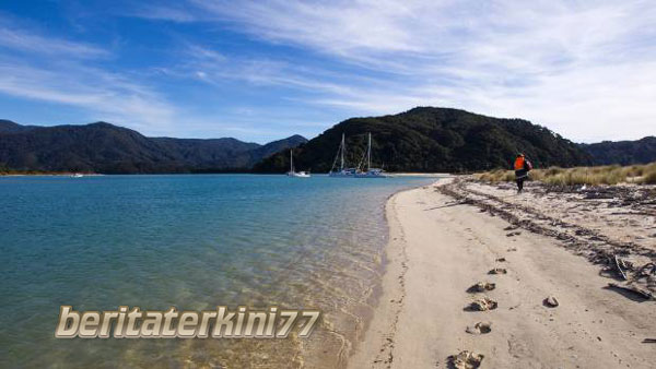 5 Tempat Pantai Terindah Yang Berlokasi Di New Zealand