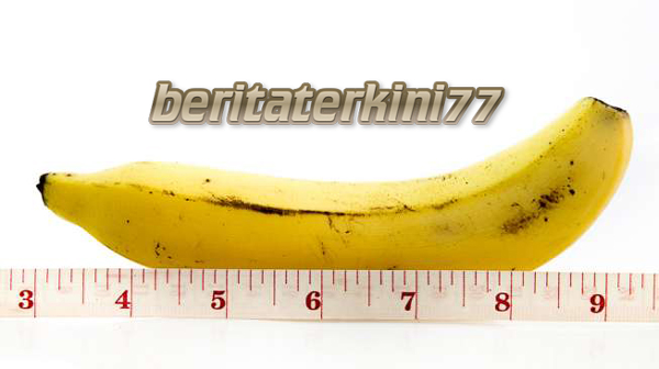 Standar Ukuran Mr P Disukai Wanita