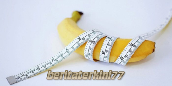 Standar Ukuran Mr P Disukai Wanita